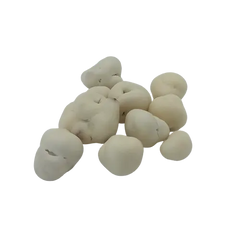 YOGURT COVERED CRANBERRIES